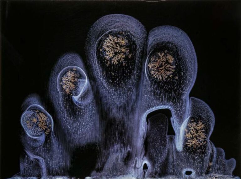 abstract art finger prints Michael Koerner